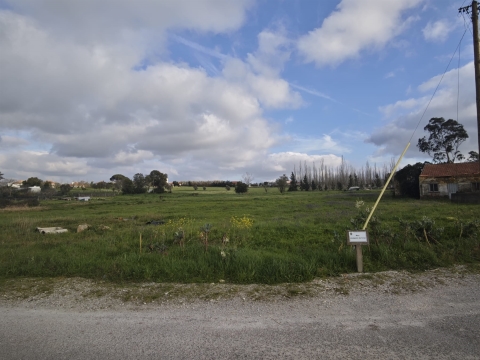 Terreno Urbano