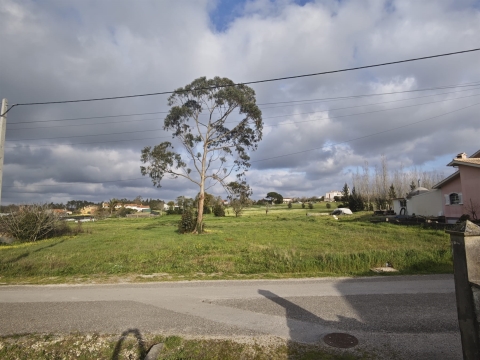 Terreno Urbano